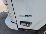 2025 Chevrolet Low Cab Forward 3500 1WT