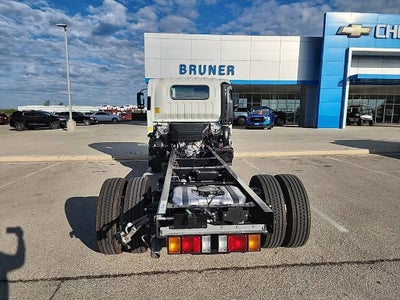 2024 Chevrolet Low Cab Forward 4500 1WT